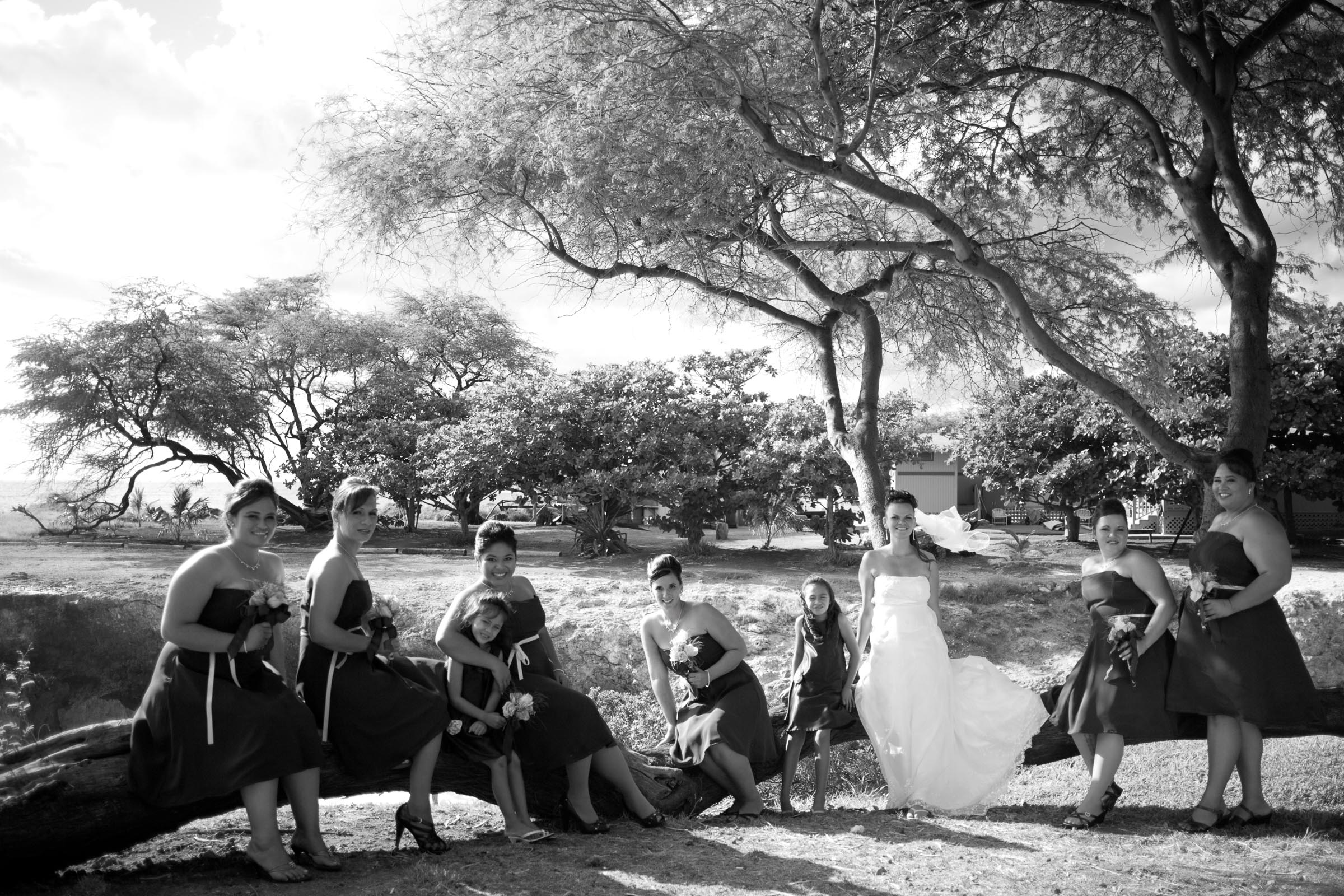 Wedding photography